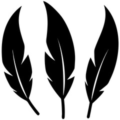 set of feathers
