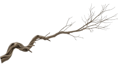 Gnarled Twisted Tree Branch or Dry Vine on a Transparent Background, PNG Image