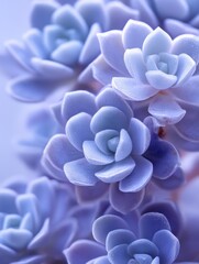 Luxury Winter Botanical Macro for High-End Commercial Advertising and Seasonal Product Marketing