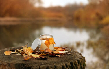 autumn nature background. glass candle holder decorated yellow leaves, fallen dry foliage on stump outdoor. decor for mabon, samhain, halloween, thanksgiving holidays. fall seasonal composition