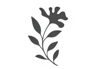 Stylized botanical plant silhouette with transparent background