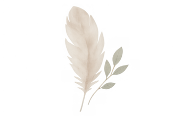 Watercolor feather and eucalyptus leaf design element. Bohemian nature illustration on transparent background