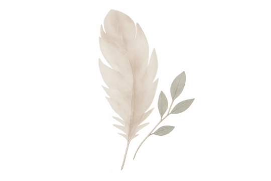 Watercolor feather and eucalyptus leaf design element. Bohemian nature illustration on transparent background