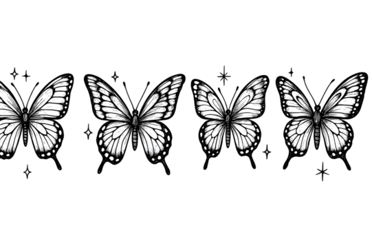 butterfly vector illustration