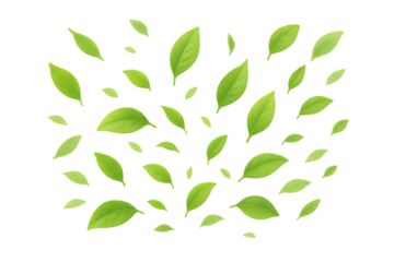 green leaves background