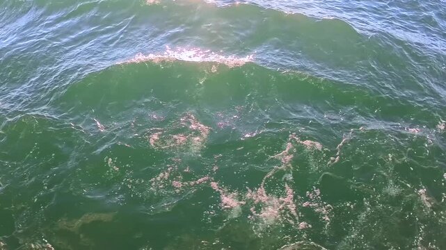 Bugwellen von einem Schiff im Wasser eines Sees, Bodensee, Baden-W&uuml;rttemberg, Deutschland