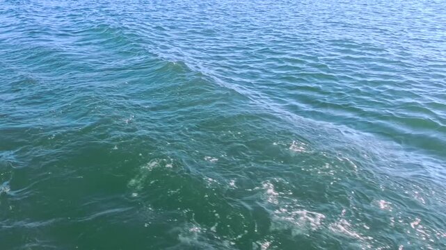 Bugwellen von einem Schiff im Wasser eines Sees, Bodensee, Baden-W&uuml;rttemberg, Deutschland