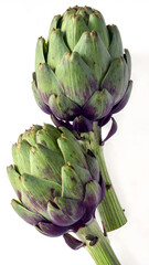 Obraz premium Fresh Globe Artichokes Vertical Composition 