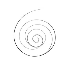 Elegant Continuous Line Spiral Artwork