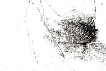 Abstract grunge black and white distressed texture torn transparent crumpled industrial overlay...