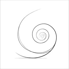 Elegant Spiral Line Art Minimal Concept