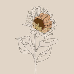 Elegant sunflower and leaf line illustration