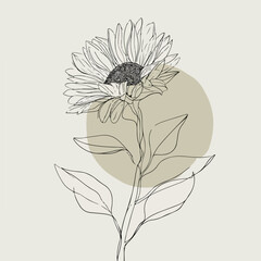 Elegant single line drawing of sunflower