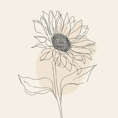 Elegant sunflower and leaf linear illustration