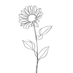 Sunflower with Continuous Minimalist Line Art