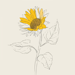 Elegant Single Line Sunflower Illustration