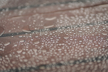 Close-up view of water droplets on a wooden surface, showcasing the intricate patterns and reflections, creating a serene and tranquil atmosphere in nature's beauty