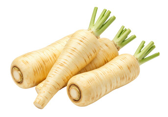Isolated Parsnips, a bundle of root vegetables, fresh and ready to cook for health recipes