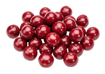 Isolated pile of fresh red plums, ready to eat, healthy fruit, produce, seasonal, food