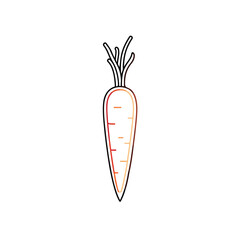 Sleek Carrot Line Illustration with Accent