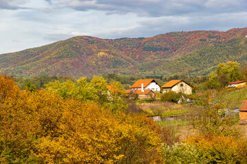 Low forested mountains on an autumn day