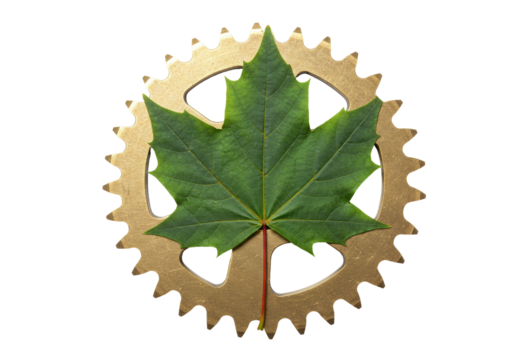 Isolated maple leaf on bronze cogwheel, depicting bioengineering or green energy concept
