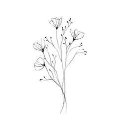 Elegant wildflower sprigs in continuous line art
