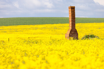 Old chimney ruin in a field
