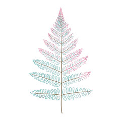 Elegant Fern Line Art with Minimalistic Style