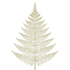 Elegant Fern Outline in Clean Vector Style