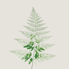 Elegant Fern Outline in Flat Vector Style