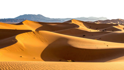 Golden sand dunes under a bright sun, distant mountains visible