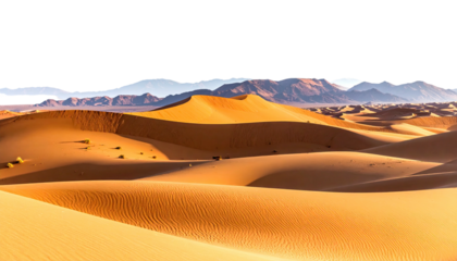 Undulating golden sand dunes meet distant mountains under a sky