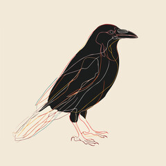 Stylized Crow Line Art with Accent