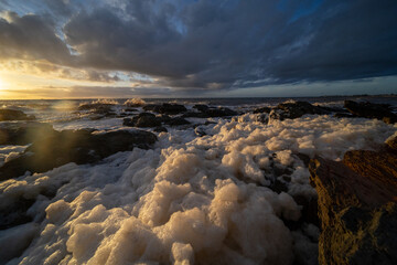 The Adelaide algal bloom at dusk