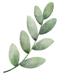 Watercolor Illustration of Green Leafy Branch