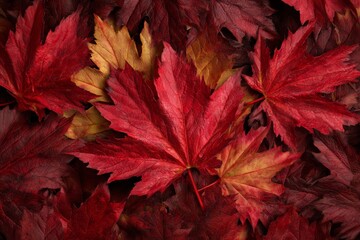 The art of fall: a journey into the enchanting world of october