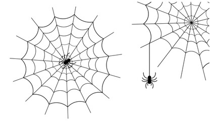 Fototapeta premium Spider and web illustration set isolated on white background