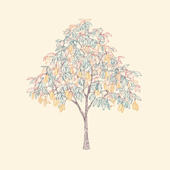 Elegant Mango Tree Line Art Design