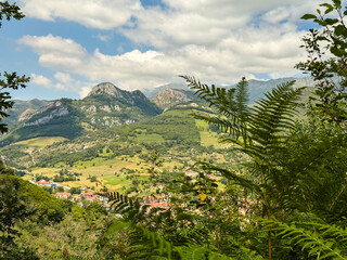 Mountain valley village viewed through fern foliage