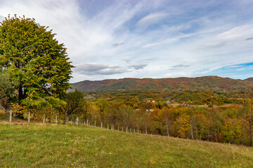 Low forested mountains on an autumn day
