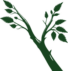 Green Tree Branch Silhouette on white Background