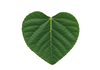 Obraz premium Isolated heart-shaped leaf, perfect for Valentine's Day or nature-themed designs, eco-friendly card
