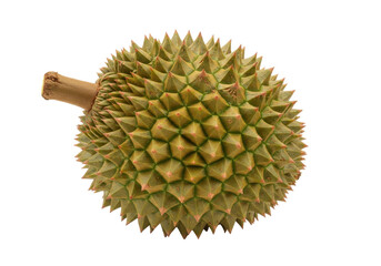 Isolated close-up of a ripe spiky durian fruit with stem and bumpy texture on surface