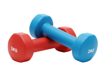 Isolated colorful dumbbells for strength training and exercise at the fitness studio or gym