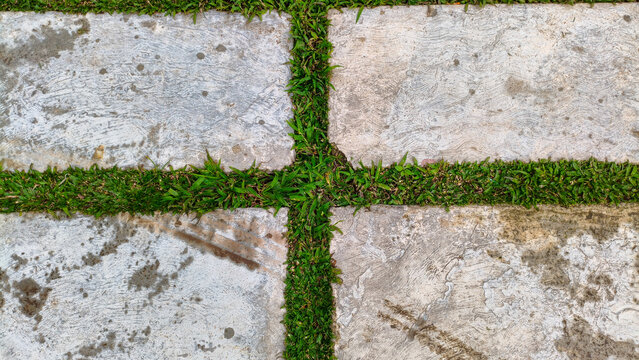 photo of paving block floor in garden with green grass line accent