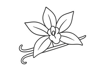Obraz premium Vanilla orchid flower with bean outline, creating a simple drawing symbolizing natural aroma and sweet flavor, on transparent background