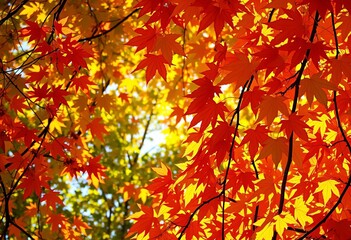 Obraz premium Intricate frame of vibrant autumn leaves, sunlight dappled, nature photography, orange