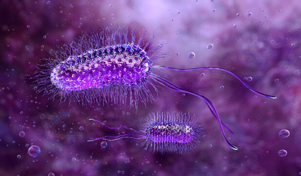 Bacteria structure 3D model. Escherichia coli, pseudomonas pathogenic microorganisms with flagella and cell membrane details. Infection biology, antibiotic resistance research, bacterial biotechnology