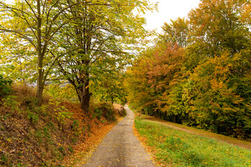 Country road in hilly area on an autumn day